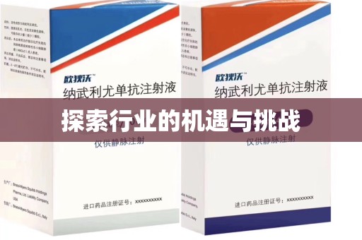南昌探索行业的机遇与挑战