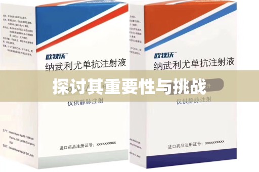 南昌探讨其重要性与挑战