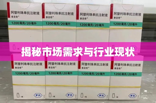 南昌揭秘市场需求与行业现状