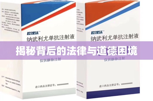 南昌揭秘背后的法律与道德困境