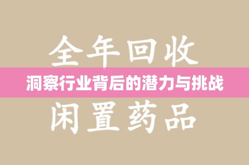 南昌洞察行业背后的潜力与挑战
