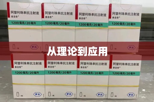 南昌从理论到应用