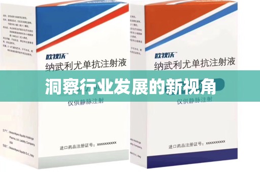 南昌洞察行业发展的新视角