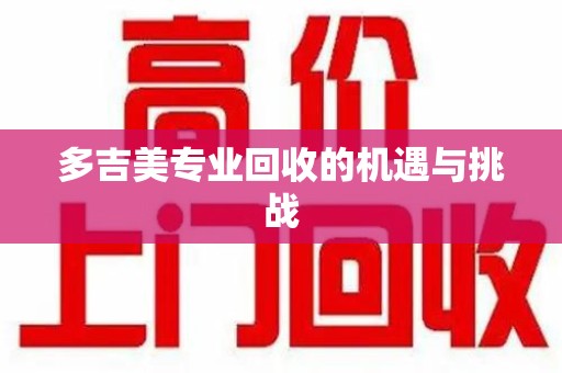 南昌多吉美专业回收的机遇与挑战